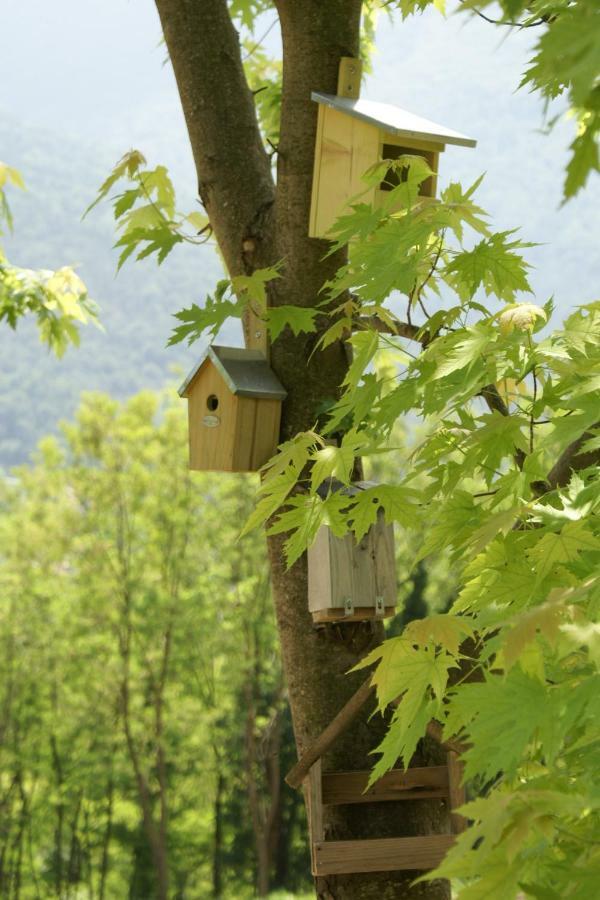 Coste Del Gaggio - Country House B&B - Garda Trentino Drena Eksteriør bilde