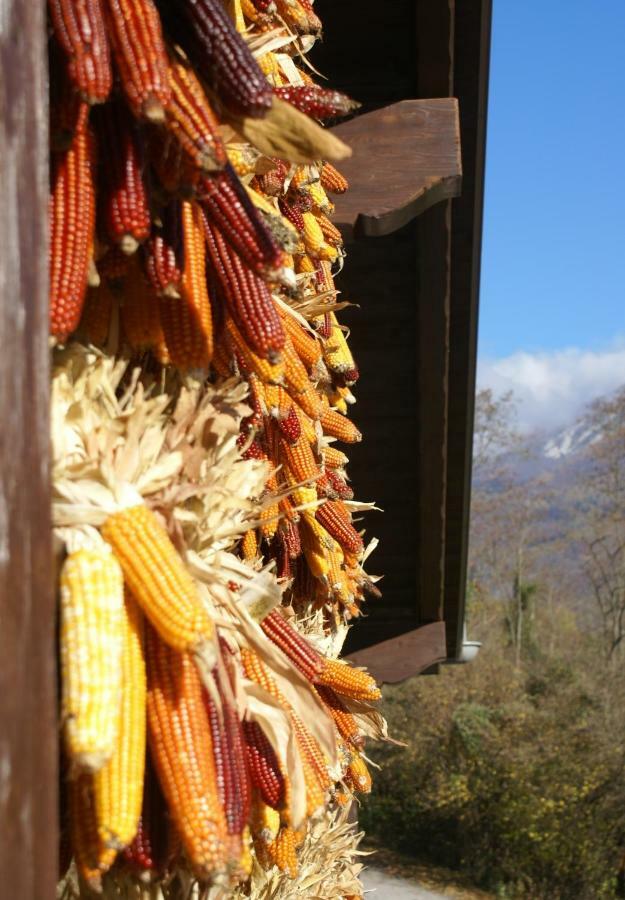Coste Del Gaggio - Country House B&B - Garda Trentino Drena Eksteriør bilde